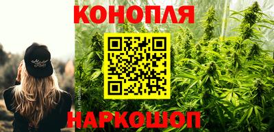 мяу мяу мука Мариинск