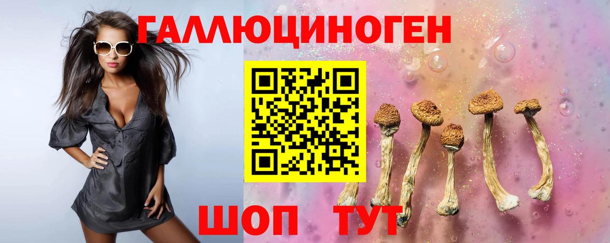 Псилоцибиновые грибы Magic Shrooms Ейск